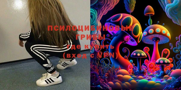 прущие грибы Алзамай