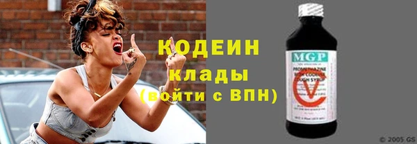 прущие грибы Алзамай