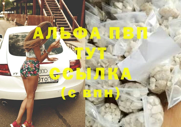амф Алексин