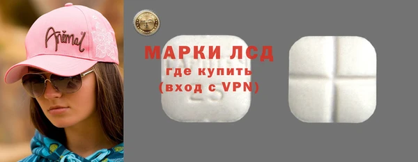 прущие грибы Алзамай