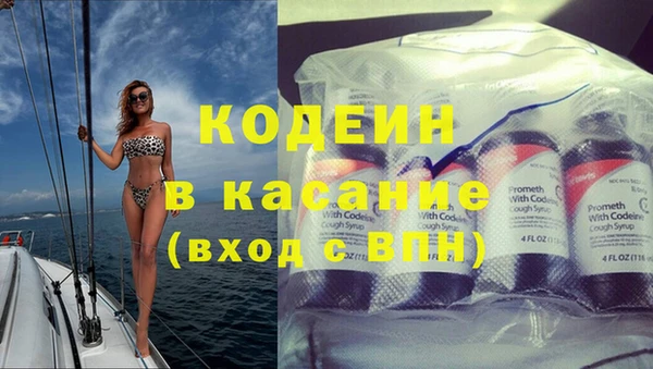 прущие грибы Алзамай