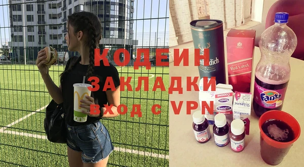 прущие грибы Алзамай