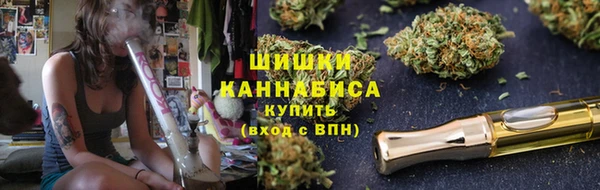 прущие грибы Алзамай